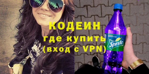 шишки Гвардейск