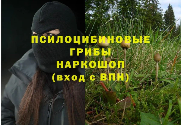 Альфа ПВП Белокуриха
