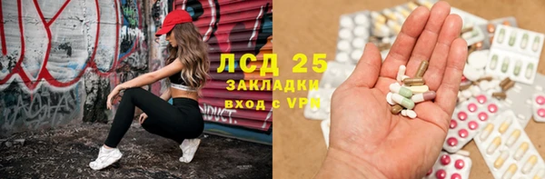 шишки Гвардейск