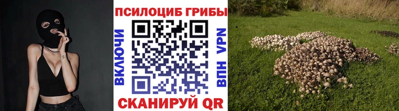 как найти закладки  Высоцк  ссылка на мегу онион  Галлюциногенные грибы прущие грибы 